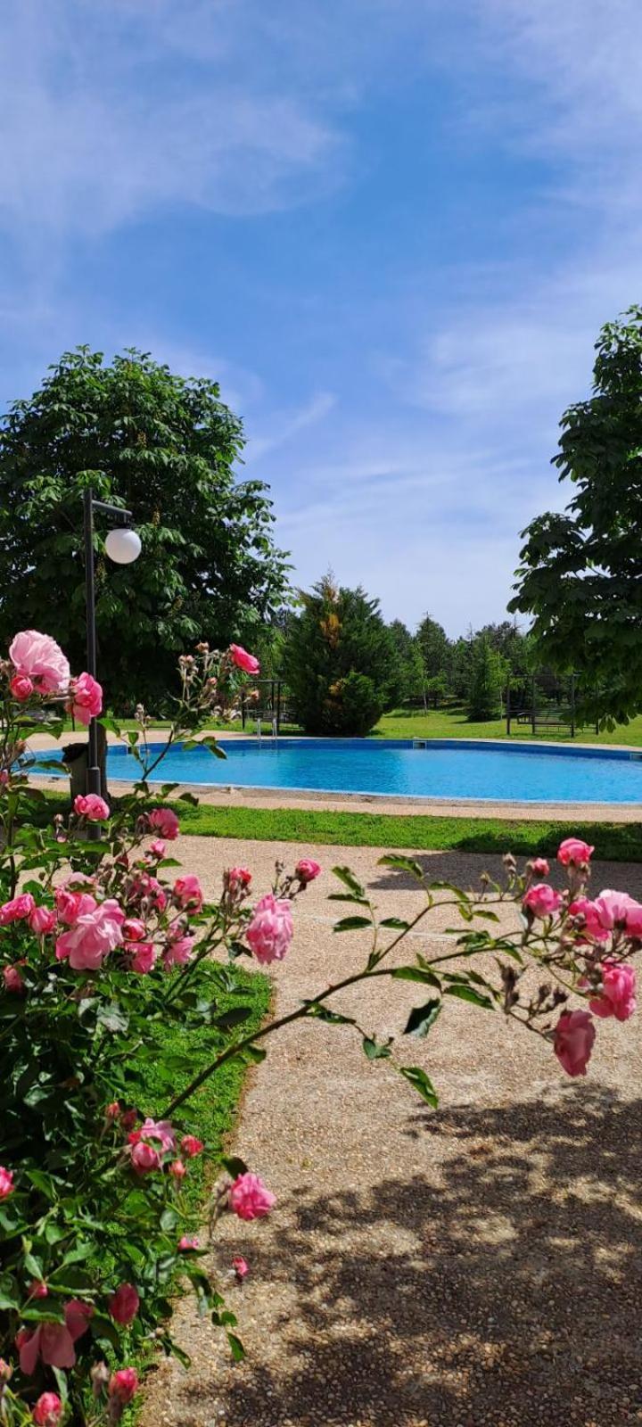 Lighthouse Golf Apart Complex&Villas 巴尔奇克 外观 照片